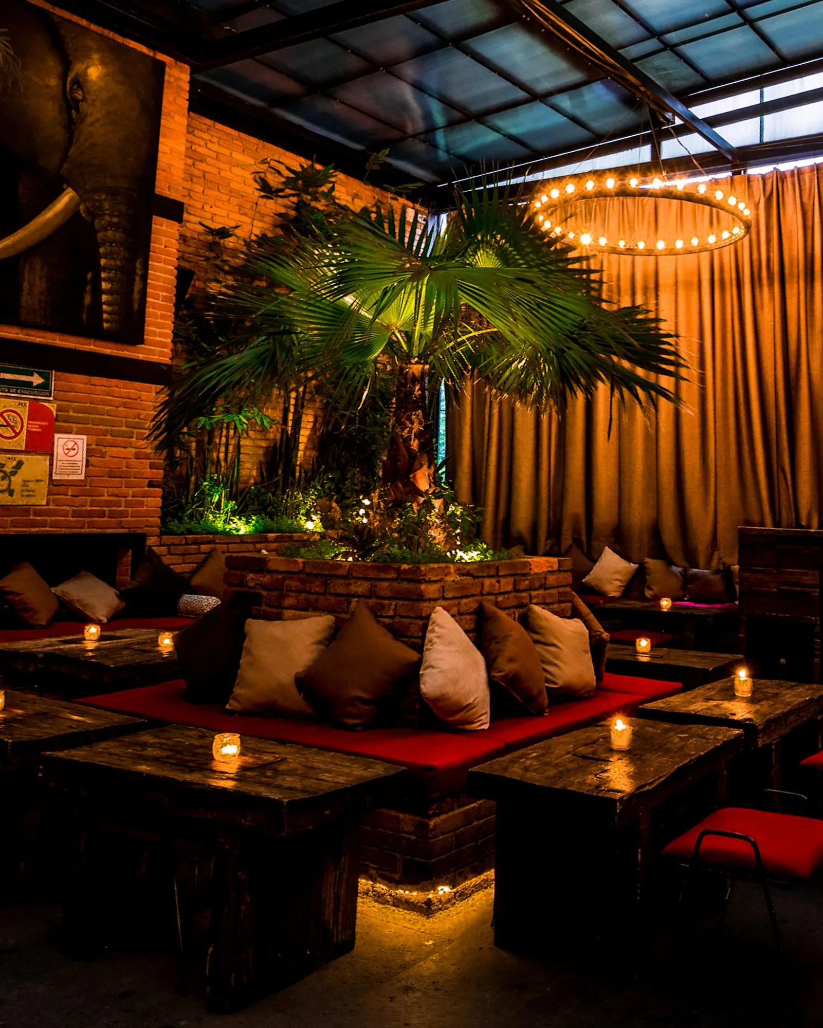 Interior con palmera y salas iluminadas