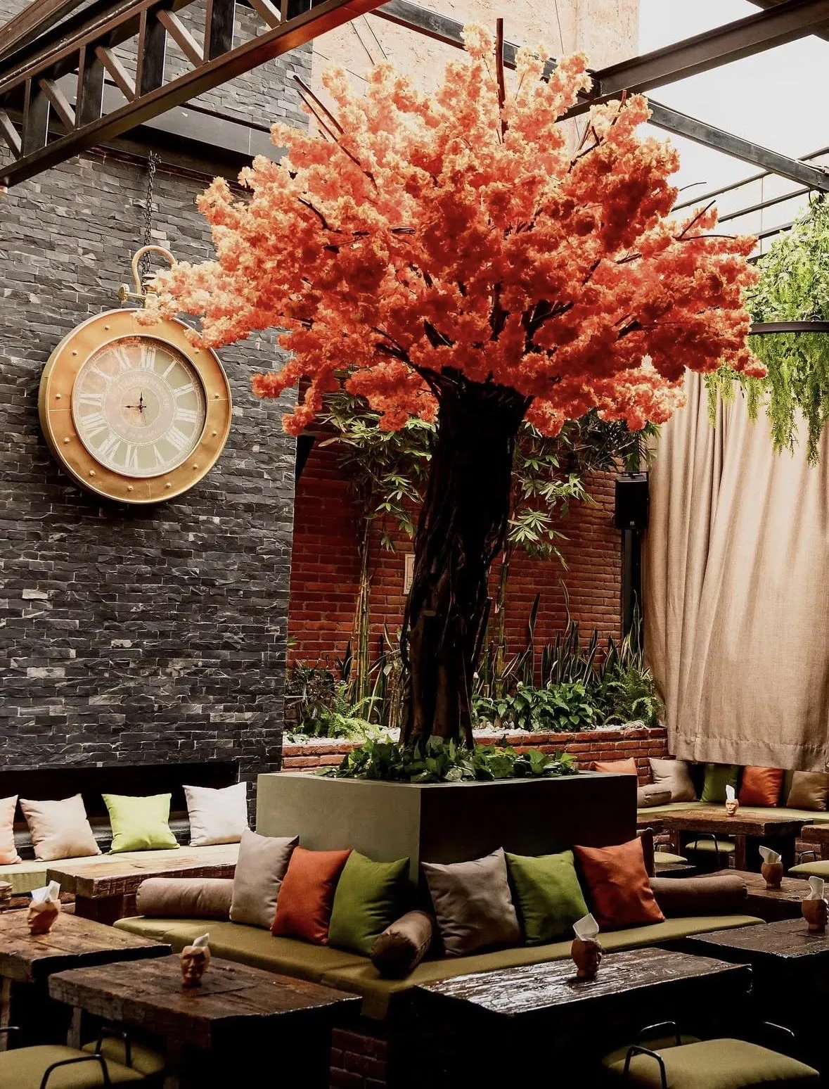 Terraza decorada con árbol de flores y salas lounge